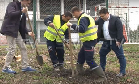 Sadnja drveća u Sremskoj Mitrovici