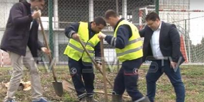 Sadnja drveća u Sremskoj Mitrovici